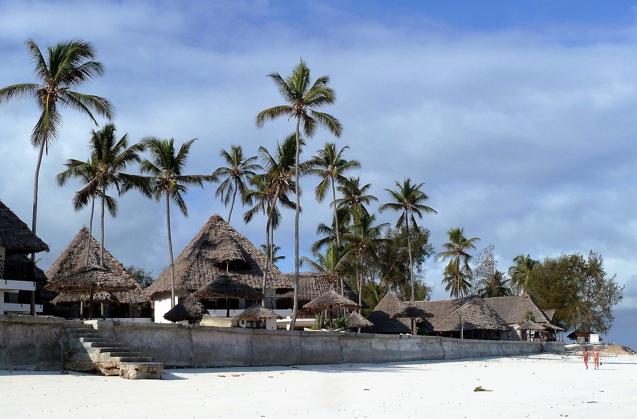 tourism, tropics, africa, zanzibar, luxury, resort, glamour, palm, palm beach, zanzibar, zanzibar, zanzibar, zanzibar, zanzibar
