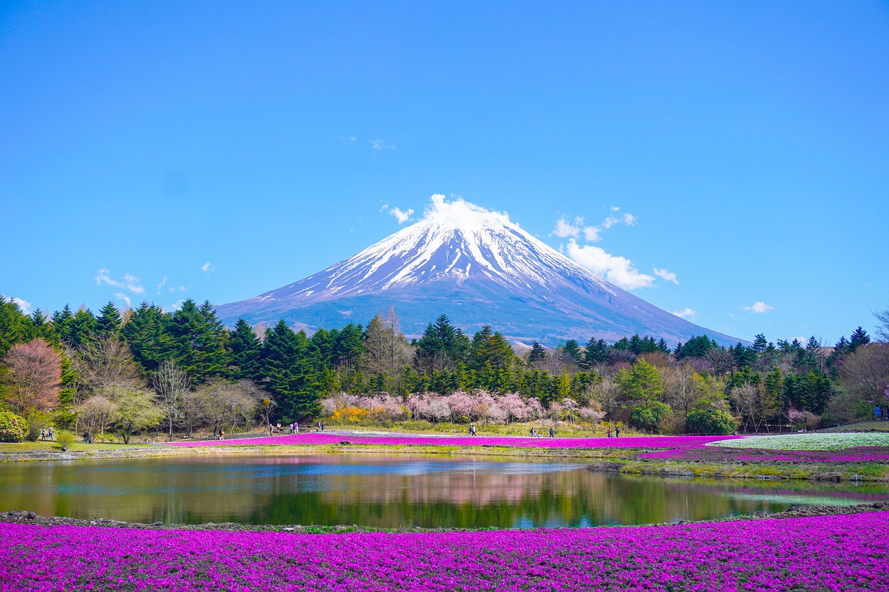 mount fuji, lake, mountain, park, flower background, nature, flowers, beautiful flowers, flower wallpaper, japan, spring